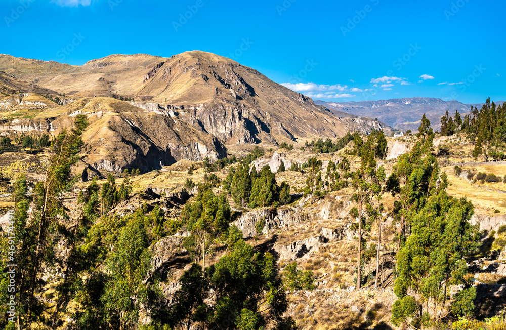 Scenery of the Colca Canyon in Peru, one of the deepest canyons in the world