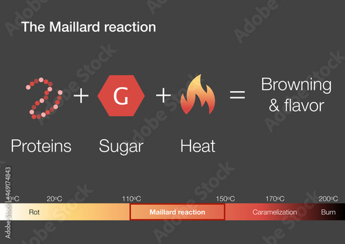 Explanation of the Maillard chemical reaction in cooking photo