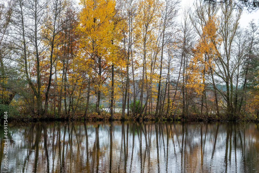 Obraz premium A pond landscape in autumn colors