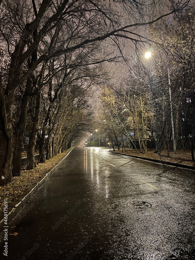 alley in the park in rain