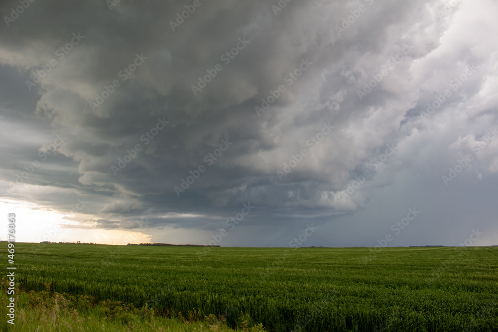 Stormy Skies