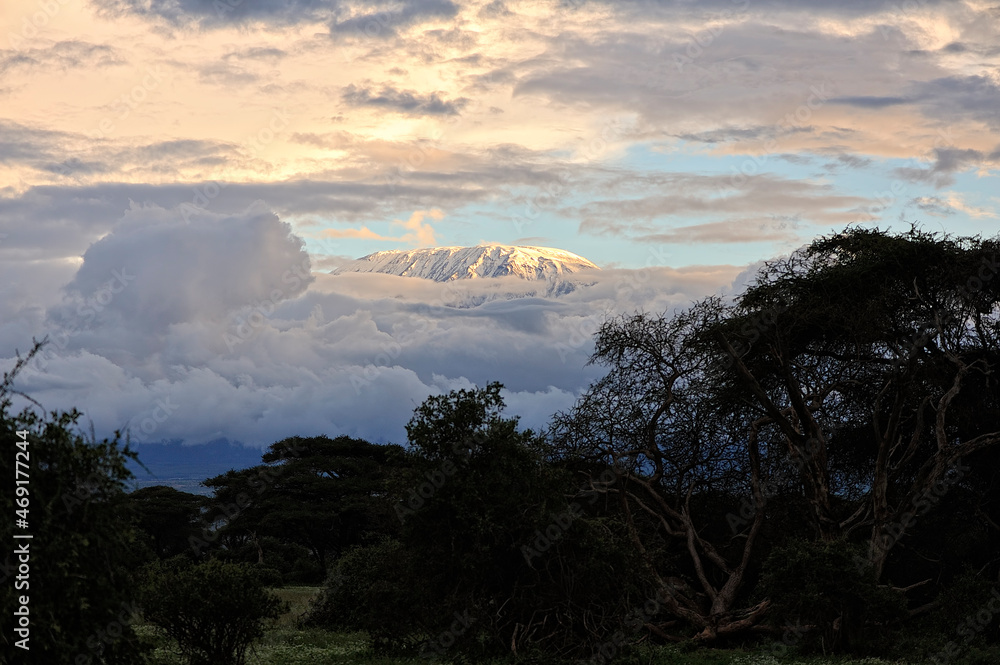 A picture of the african landscape