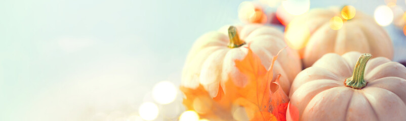 Thanksgiving Day dinner. Holiday served table decorated with pumpkins, autumn pastel colors, leaves and burning candle. Beautiful table setting, Thanksgiving backdrop, widescreen border art background