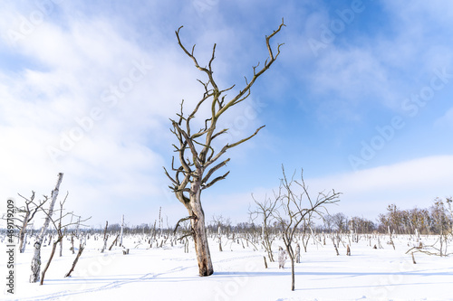 Wallpaper Mural Winterlandschaft Torontodigital.ca