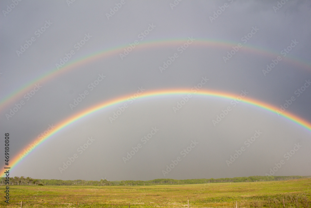 Fototapeta premium Rainbow