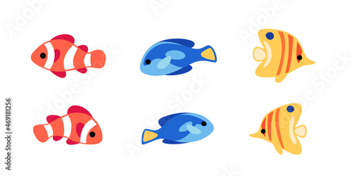 Group of fishes - coral fishes isolated on white background. Clown fish, butterfly fish and fish surgeon. Vector illustration in colorful style.