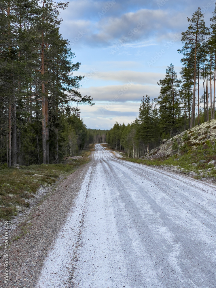 Obraz premium Country Road 4