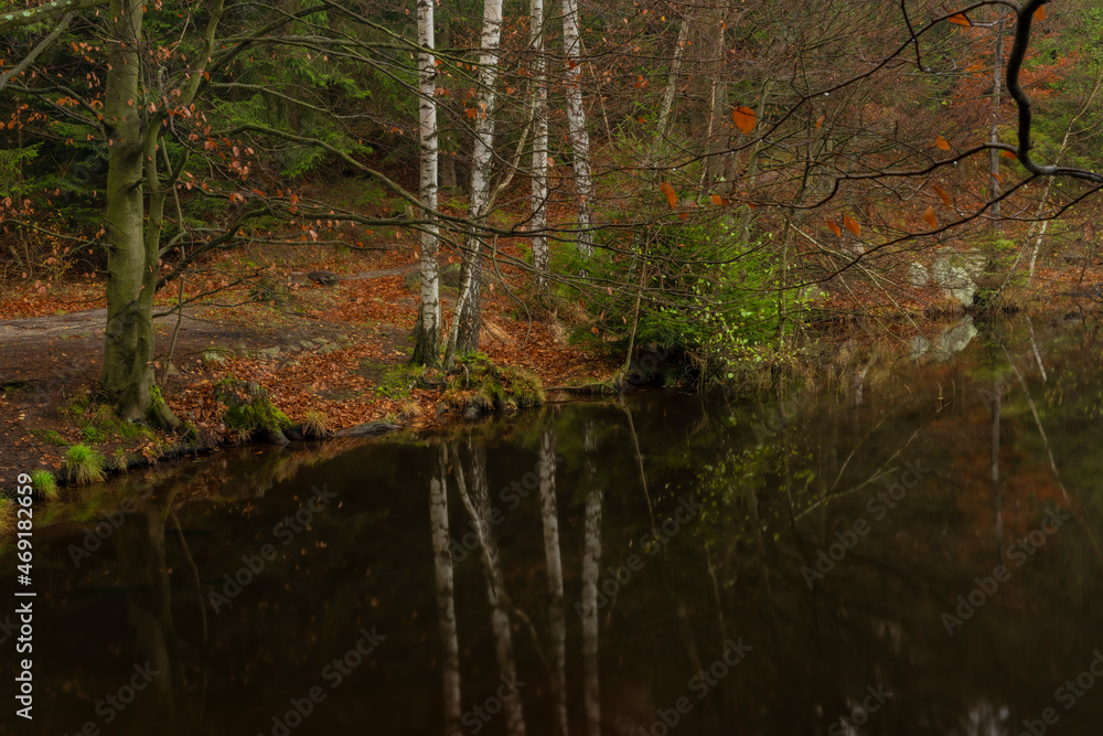 Fototapeta premium Hranicni pond in Luzicke mountains in autumn color wet morning