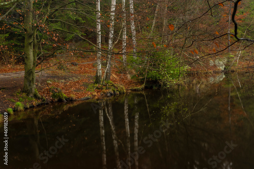 Hranicni pond in Luzicke mountains in autumn color wet morning photo