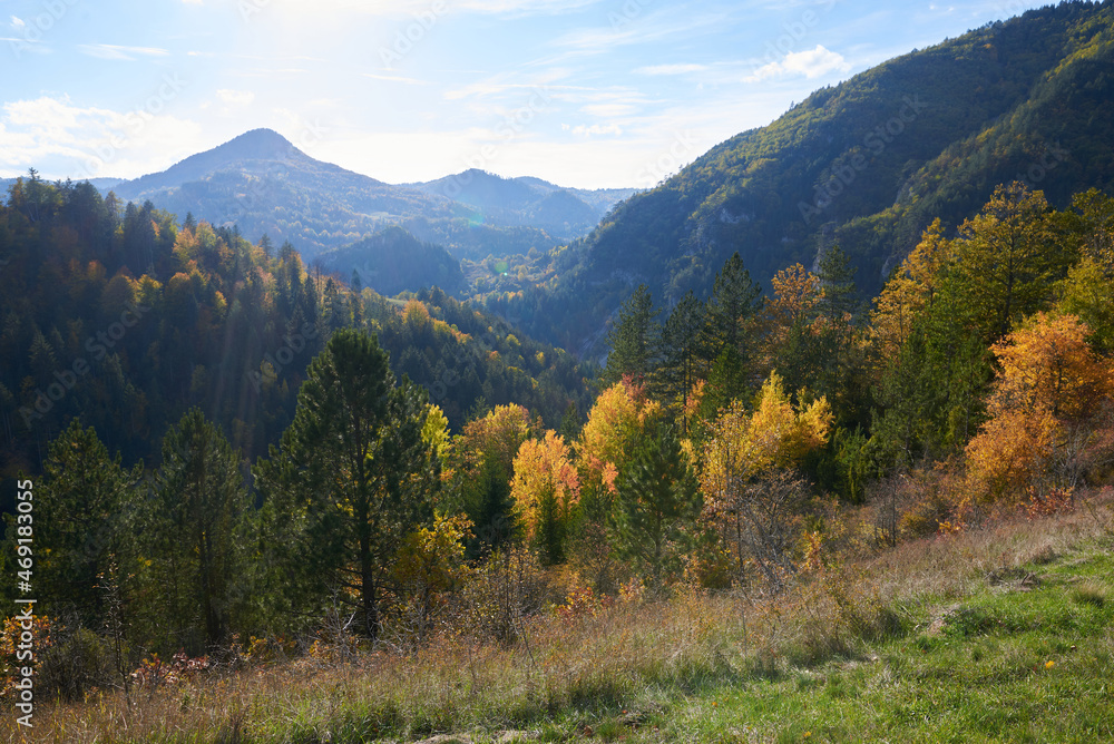 Green valley nature landscape. Green valley nature landscape.