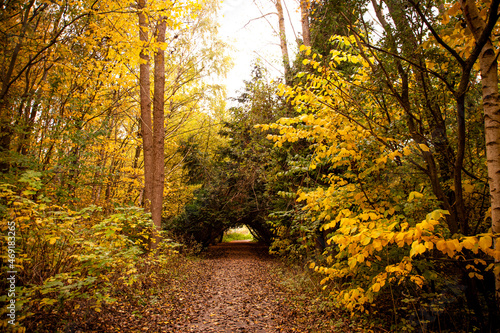 Silhuoette in forest tunnel photo