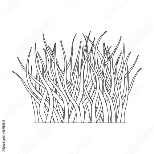 Grass vector icon.Outline vector icon isolated on white background grass.