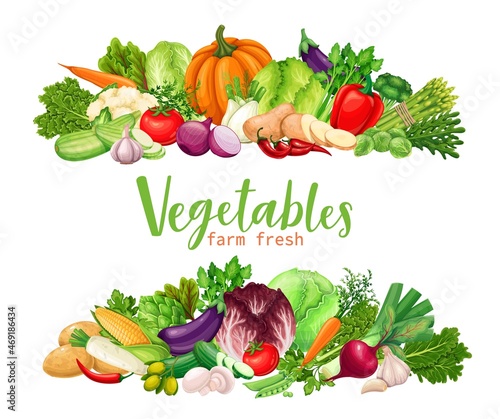 Vegetables banners. Compositions of farm product asparagus, artichoke, leek. Vegan product corn, garlic, cucumber, cabbage, pepper, onion, celery and potato, vegetarian vector illustration.