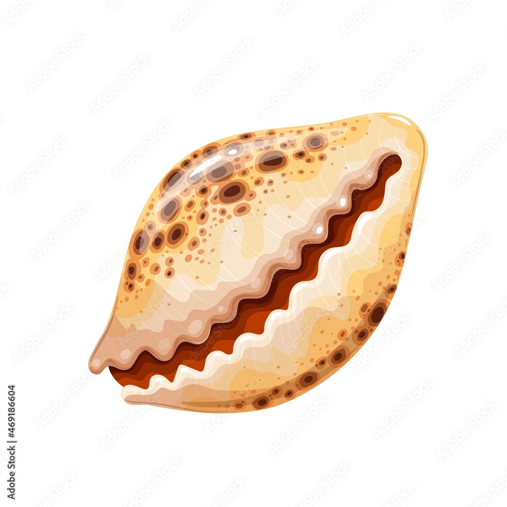 Seashell vector illustration. Marine underwater theme. Seashell vector illustration. Marine underwater theme.