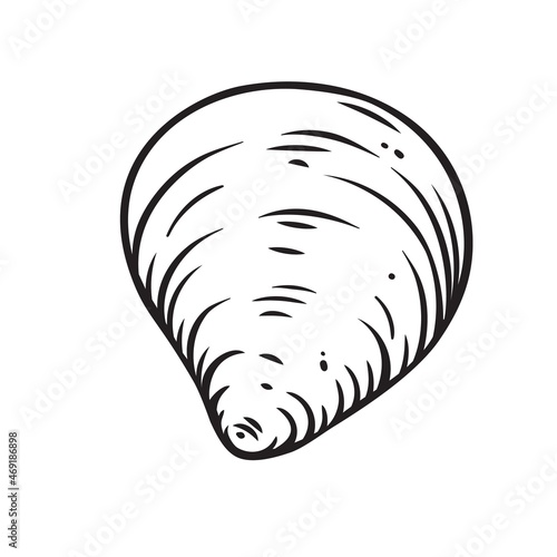 Hand drawn seashell, clam vector illustration. Marine underwater theme.