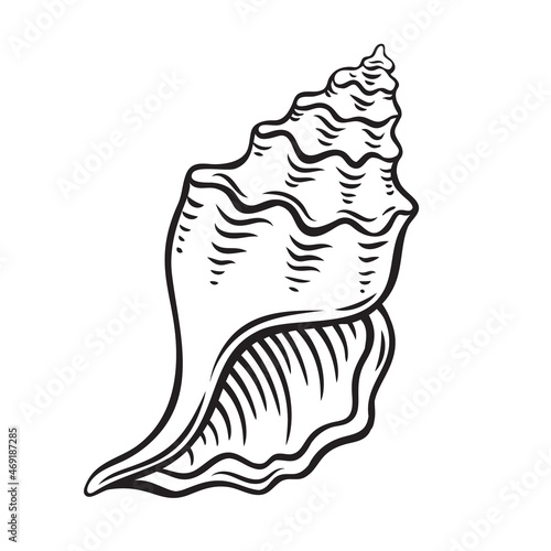 Hand drawn seashell vector illustration. Marine underwater theme.