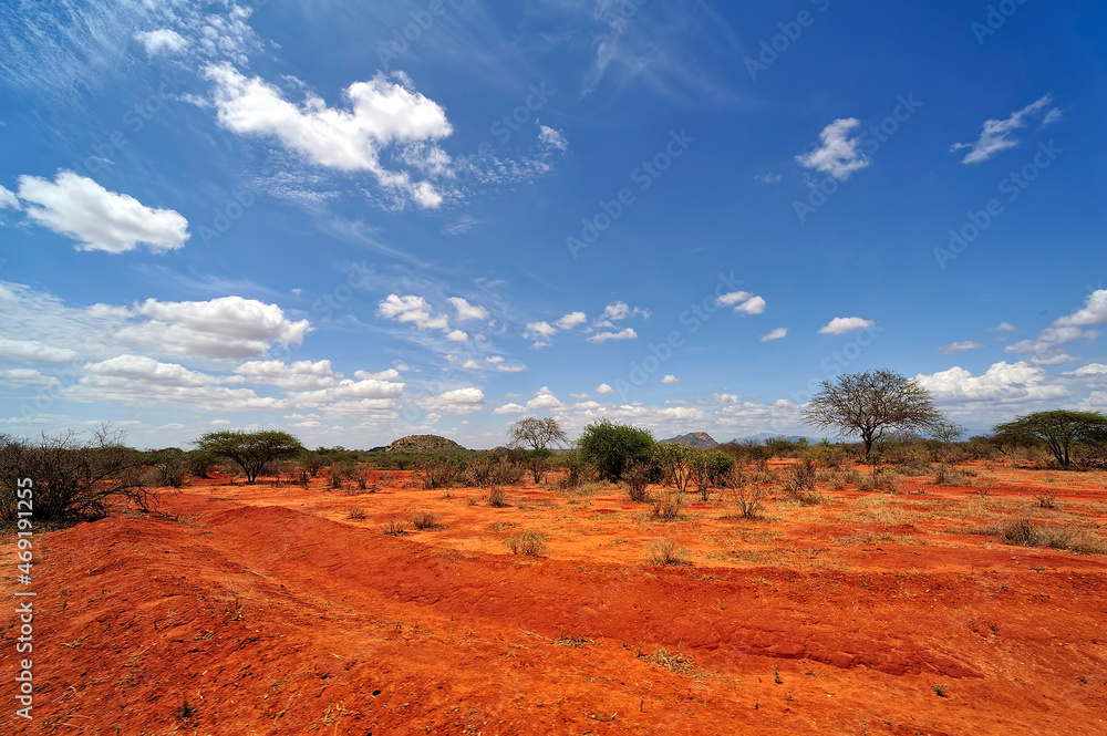 A picture of the african landscape