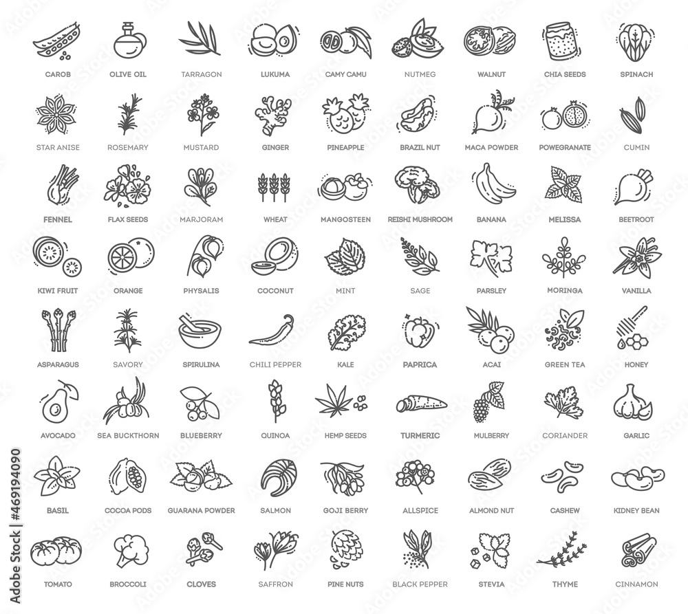 Superfoods line vector icons. Vector Organic superfoods Superfoods line vector icons. Vector Organic superfoods