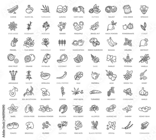 Superfoods line vector icons. Vector Organic superfoods