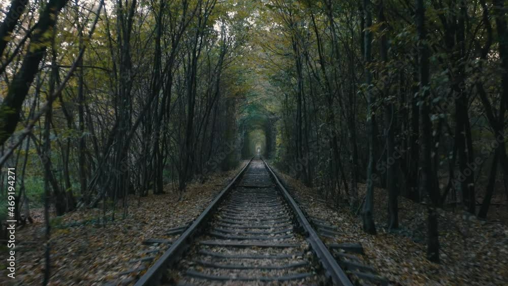 Tunnel of love, railway. Old tracks overgrown with trees. Romantic charming place. Tunnel of love, railway. Old tracks overgrown with trees. Romantic charming place.
