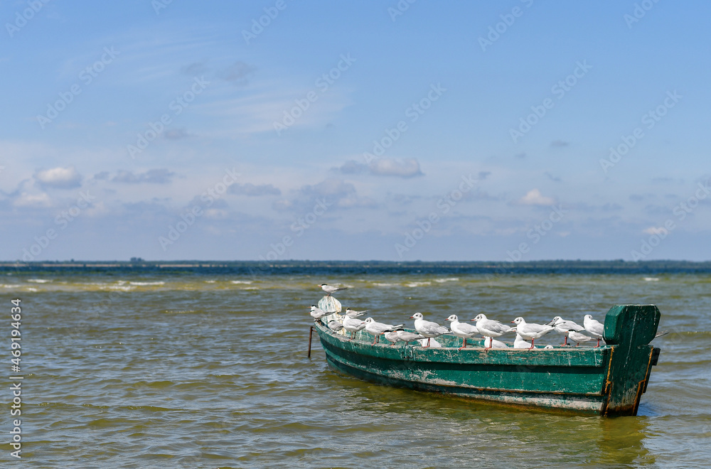Seagulls sitting in a single row on side of the wooden fishing boat. 