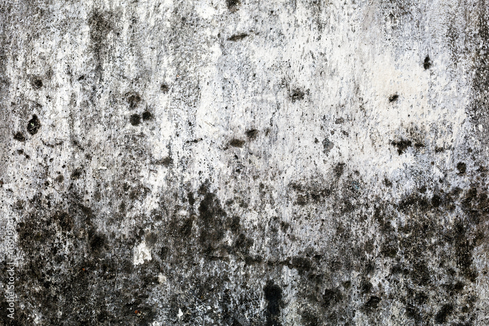Fototapeta premium Grunge Background Texture