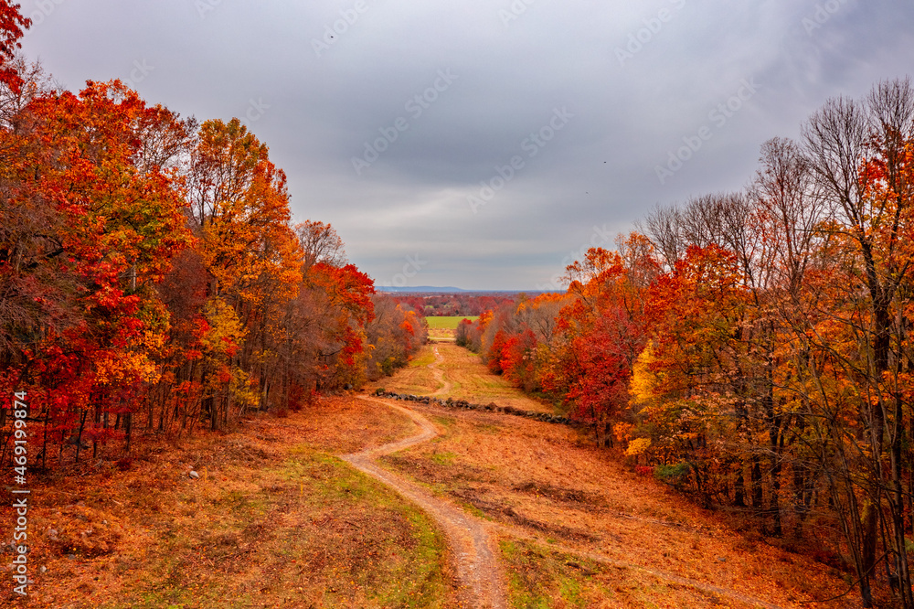 A hiking path during autumn
