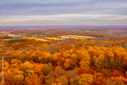 aerial view of a forest