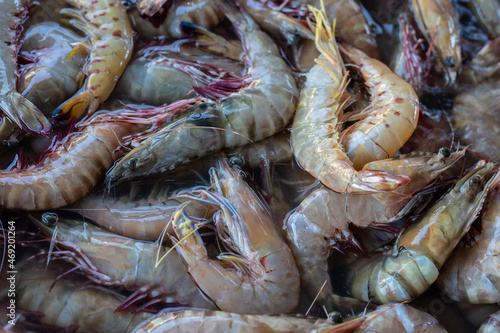 Fresh tiger prawn display on fresh market for sale at fresh market Kota Kinabalu, Sabah, Malaysia