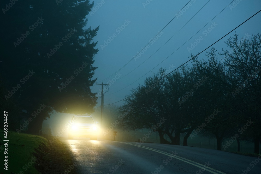 car head lights in fog
