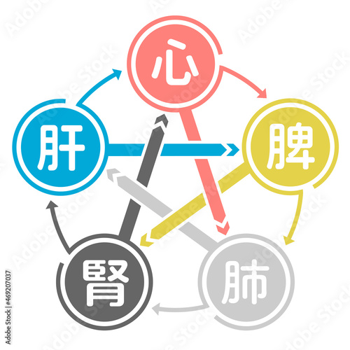 五臓六腑相関図
