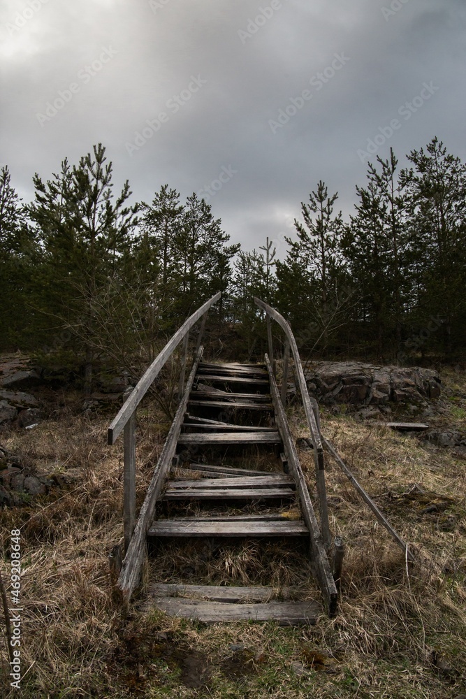stairway in the forest