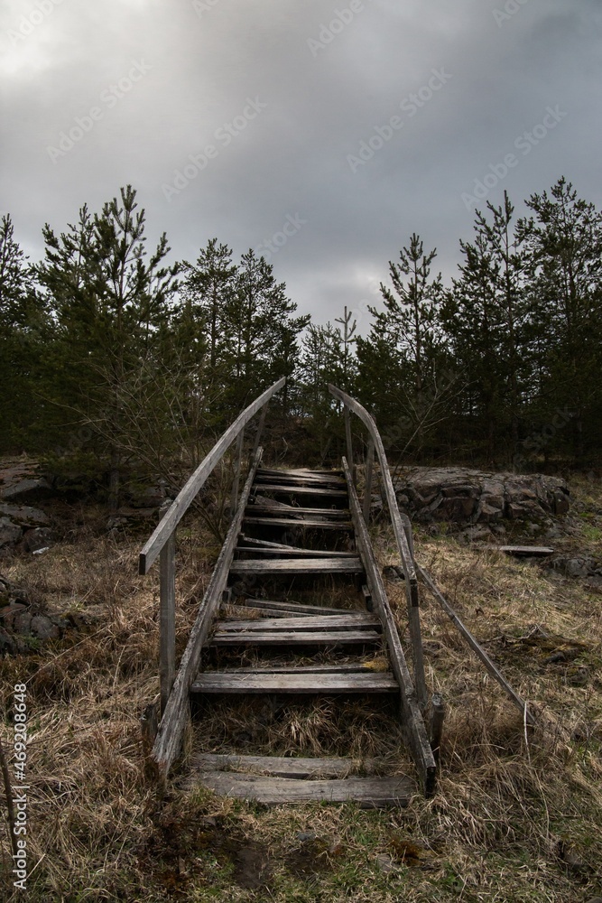 stairway in the forest stairway in the forest