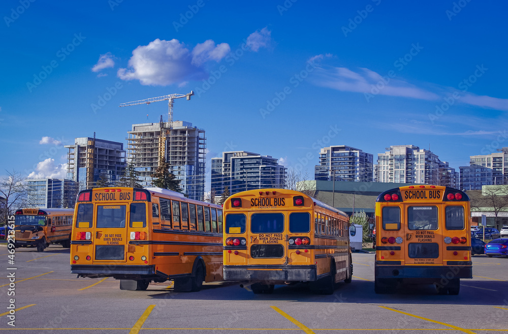 A row of orange school buses in a parking lot on a sunny day