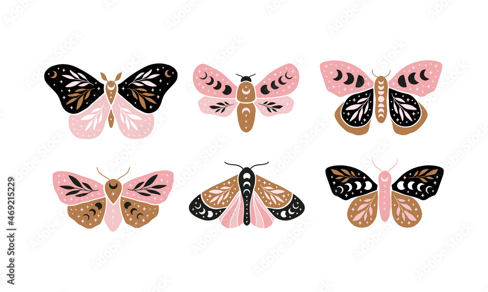 Magical Butterfly Sticker Set
