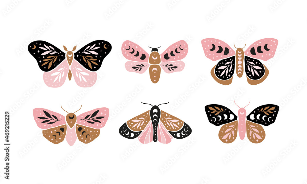 Celestial butterfly vector illustration set. Mystical luna moth with ...
