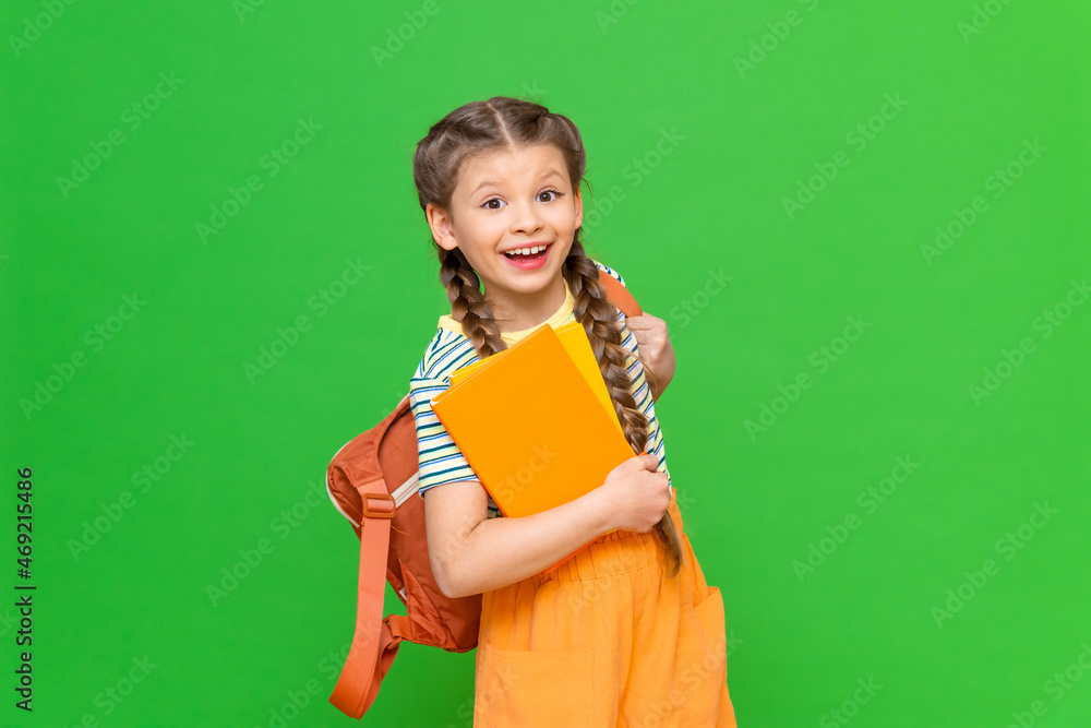 A happy little schoolgirl with textbooks and a briefcase on an isolated background. Copy space. A happy little schoolgirl with textbooks and a briefcase on an isolated background. Copy space.