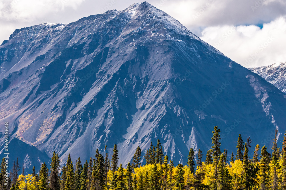 Fototapeta premium Beautiful September fall, autumn landscape image from northern Canada with boreal forest, spruce and pine tree and snow capped mountains background.