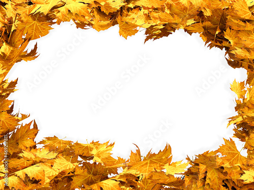 autumn leaves leaf dry backround frame with space for your text message