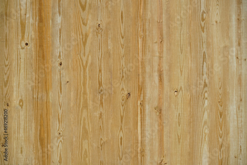 wood texture background surface with natural pattern