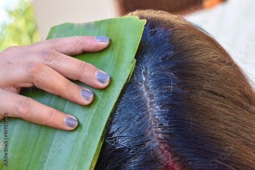 woman using aloe Vera leaf in hair closeup, Green Aloe Leaf using for Long and Healthy Hair