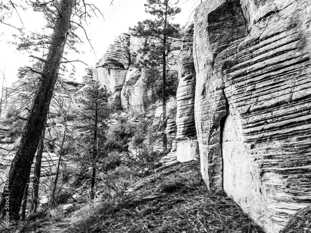 Naklejka premium Sedona, Arizona