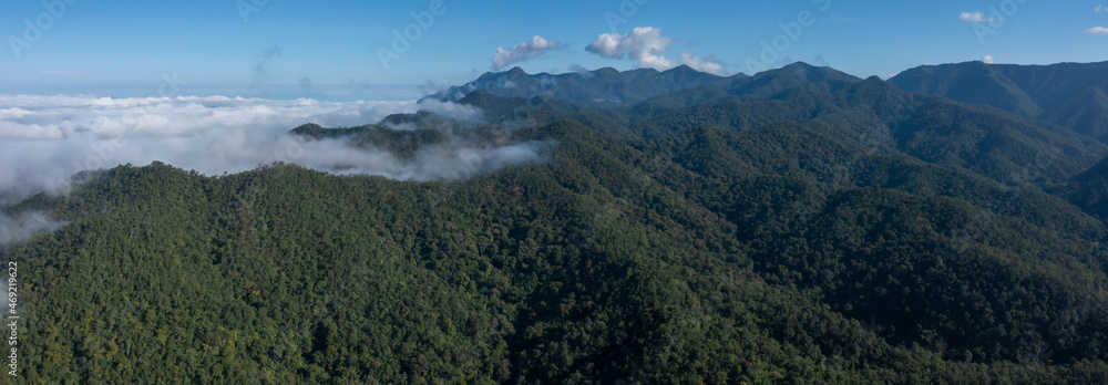 Aerial view green forest and mountain hill forest with misty mountain clouds, Misty landscape with fir moutain green forest, Ecosystem and healthy environment.
