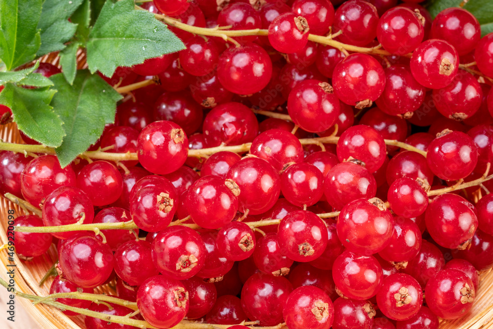 Close up shot of Red currant in bamboo basket on wooden background, Red currant berries with leaf on wooden table. Close up shot of Red currant in bamboo basket on wooden background, Red currant berries with leaf on wooden table.