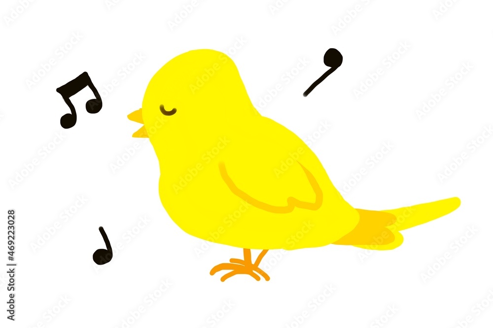 歌うカナリア Stock イラスト Adobe Stock