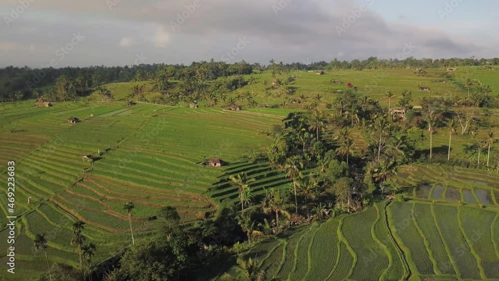 Slowly rotation drone shot in the early morning over the ricefields paddies of Jatiluwih, Bali Indonesia 4k. Slowly rotation drone shot in the early morning over the ricefields paddies of Jatiluwih, Bali Indonesia 4k.