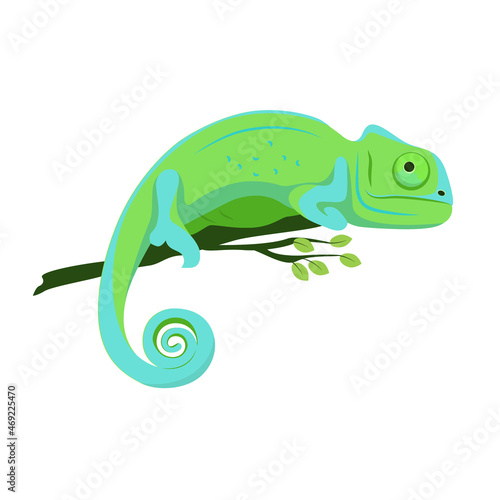 Blue-green chameleon sitting on a branch on a white background, vector illustration.