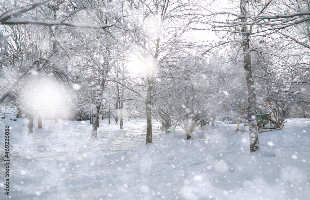 Winter Park. Landscape in snowy weather. January. Winter Park. Landscape in snowy weather. January.