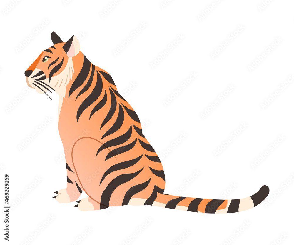 Tiger animal. Big wild cat, view from behind vector illustration