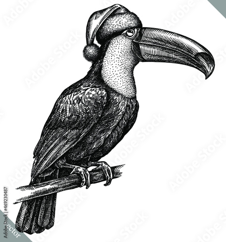 Canvastavla black and white engrave isolated toucan illustration